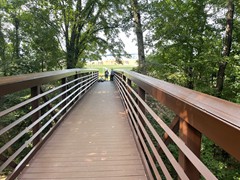 IMG_0249